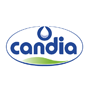 candia candia
